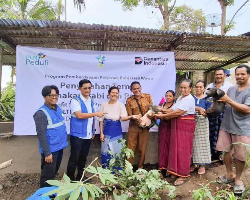 PLN UIP Nusra Salurkan Bantuan Pertanian dan Peternakan Masyarakat Ring-1 PLTP Ulumbu Unit 5-6
