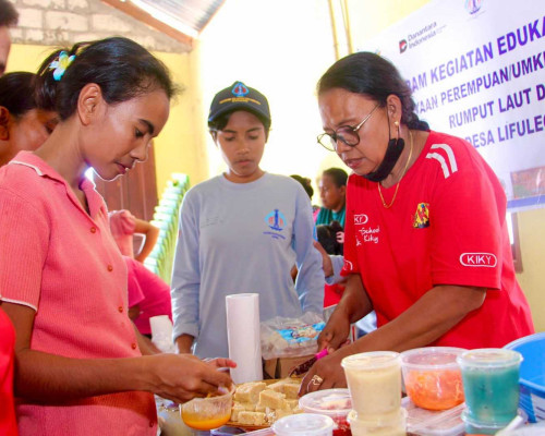 PLN UIP Nusra Berdayakan Perempuan Pesisir Lifuleo Melalui Program Desa Eco-Bahari