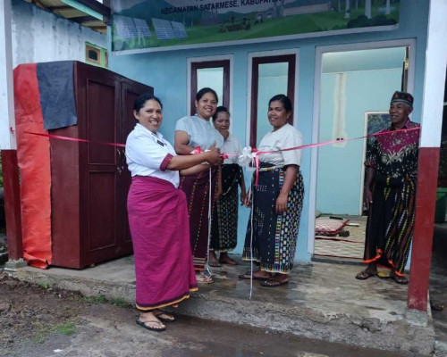 PLN Peduli PLN UIP Nusra Hadirkan Rumah Produksi Temu Lawak sebagai Lokomotif Ekonomi Baru Desa Wewo