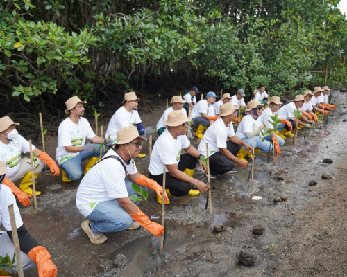 HMPI 2025, PLN Grup NTB Tanam 5.000 Bibit Mangrove di Pesisir Lombok Timur