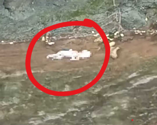 ‎Warga Kupang Digegerkan Penemuan Janin Bayi Terapung di Kali