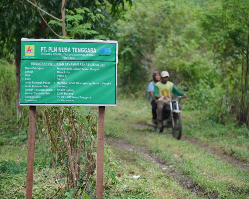 PLN UIP Nusra Rehabilitasi DAS Manni Lewat Penanaman 30.000 Pohon di HPT Sumbawa