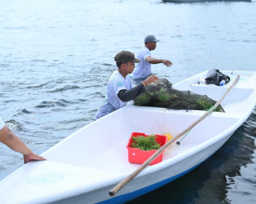 TJSL PLN Peduli Jangkau 700 Ribu Lebih Penerima Manfaat di Seluruh Indonesia