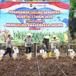 Tanam Serentak, Polda NTT Targetkan 10.000 Hektar Jagung Dukung Swasembada Pangan