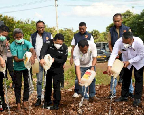 6.381 Liter Miras Lokal Ilegal Dimusnahkan Polda NTT