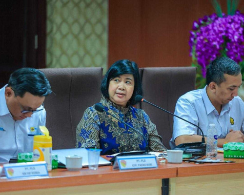 ‎Fenomena Lumpur Panas di Flores, Ini Penjelasan Ahli Geothermal UGM  ‎