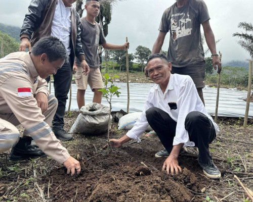 ‎PLN Luncurkan Agroforestry Hetero di Desa Wewo