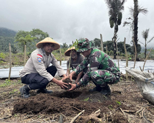 ‎PLN Luncurkan Agroforestry Hetero di Desa Wewo