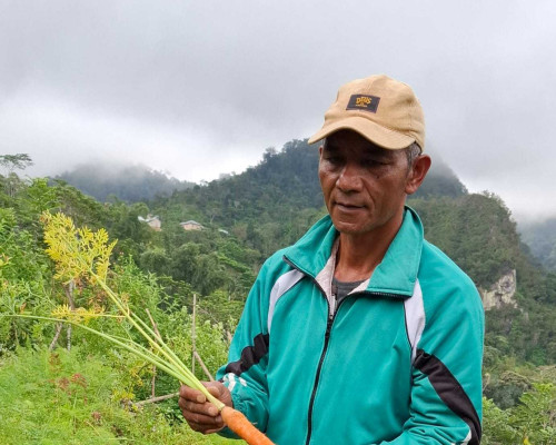 ‎Cara PLN Mengubah Nasib Petani di Kaki Ulumbu