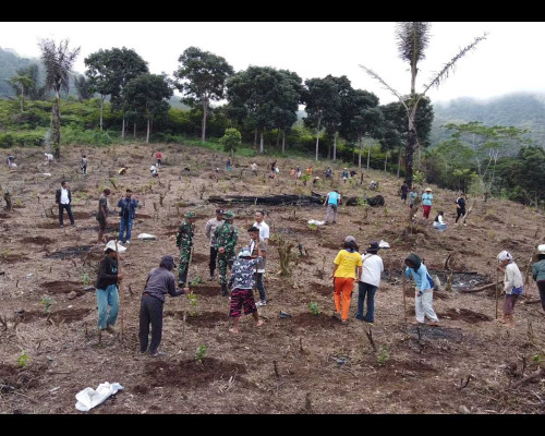 ‎PLN Luncurkan Agroforestry Hetero di Desa Wewo
