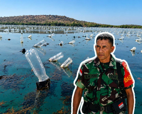 ‎Tumpahan Oli Ancam Mata Pencaharian Petani Rumput Laut di Pulau Semau